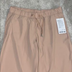 Lulu Lemon on the fly pants